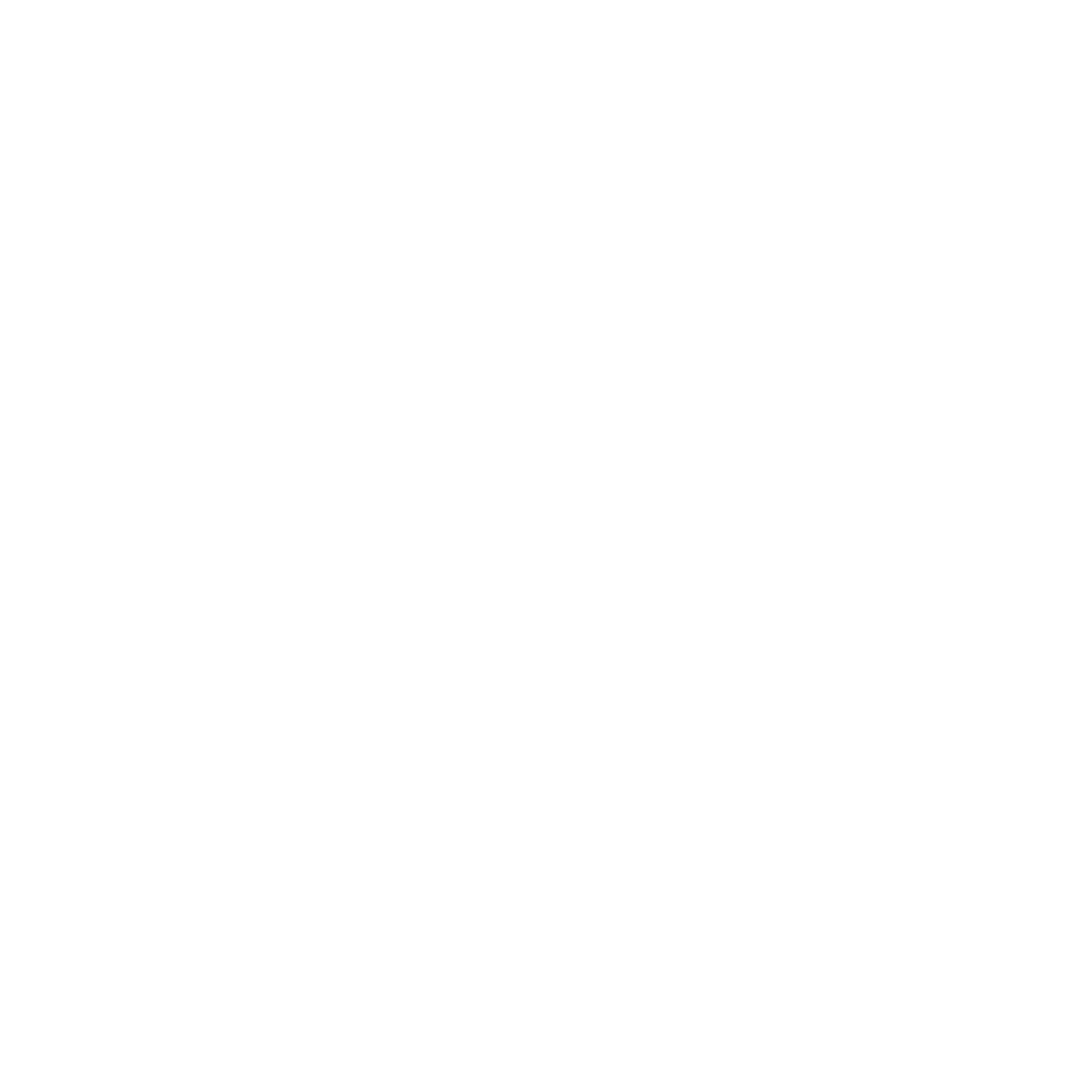 LIGHT & WONDER